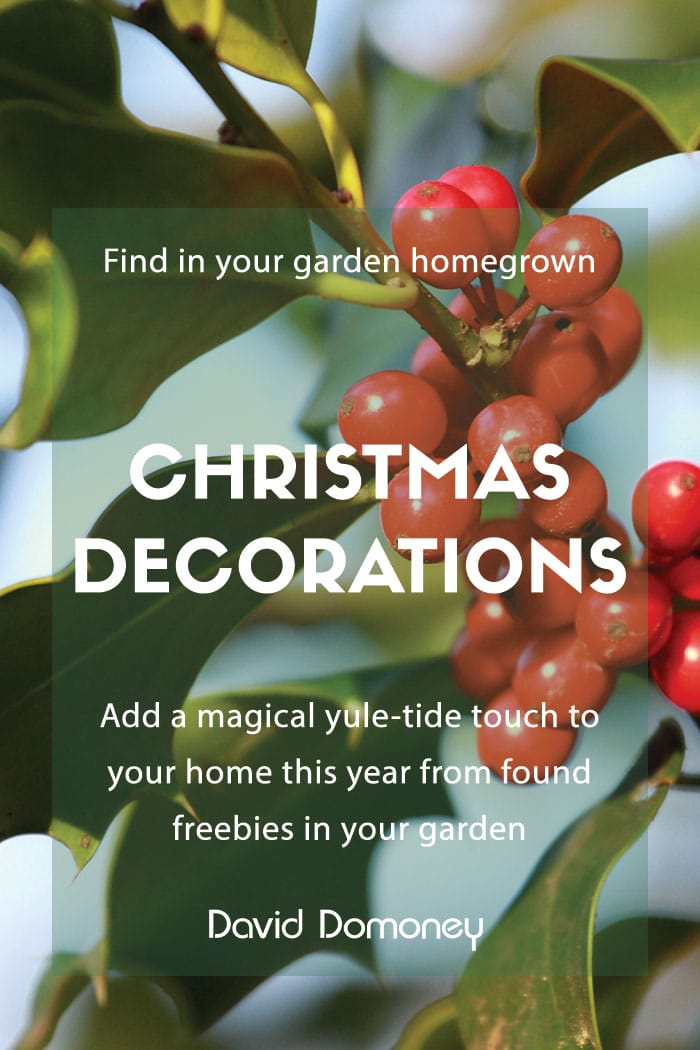 homegrown christmas decorations