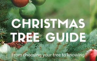 christmas tree guide