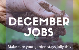 December jobs