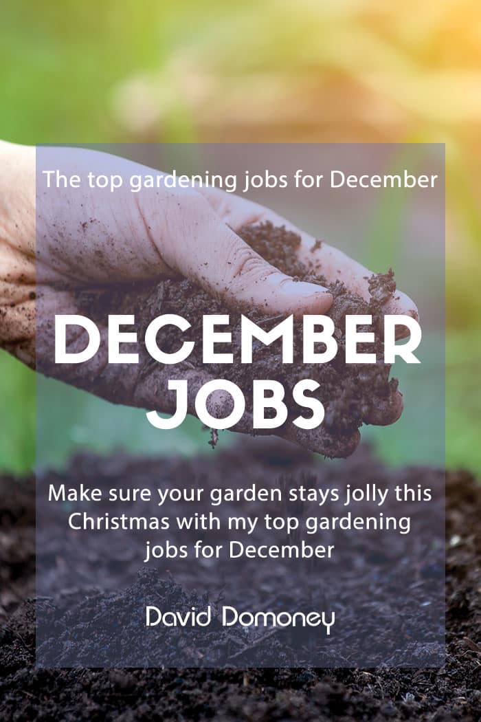 December jobs