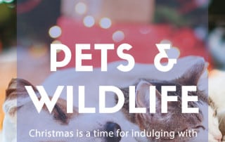 pets and wildlife