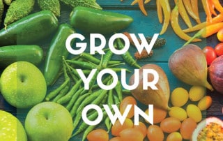 Grow your Own veg feature