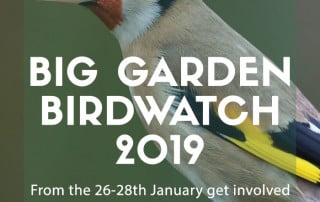 big garden birdwatch