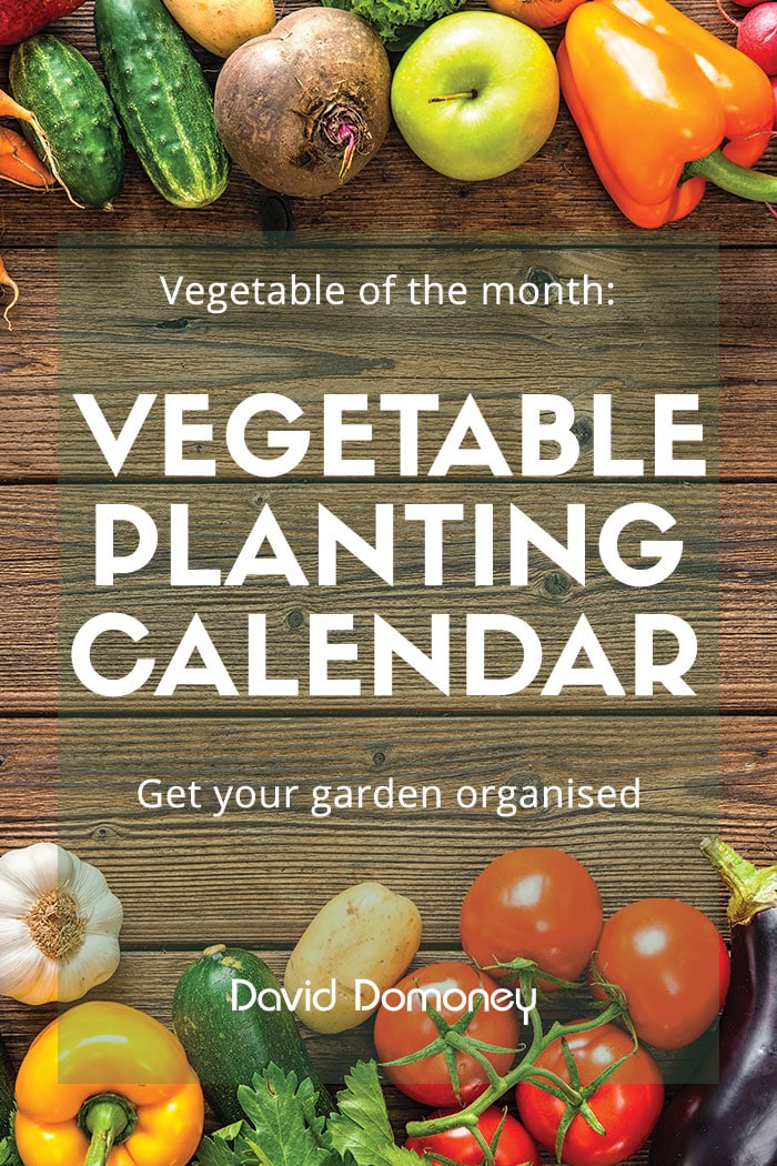 Veg Planting Calendar