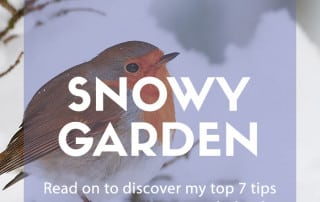 snowy garden
