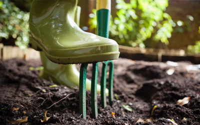 garden-fork-moving-plant