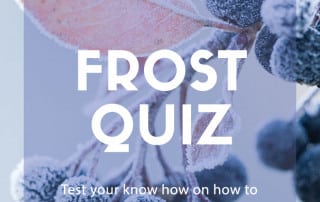 frost quiz