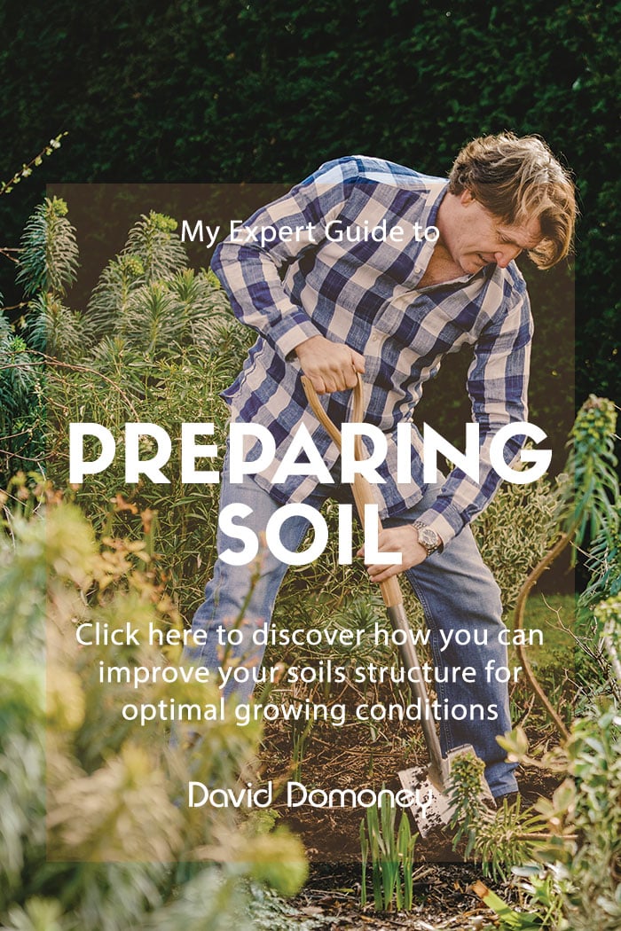 preparing soil