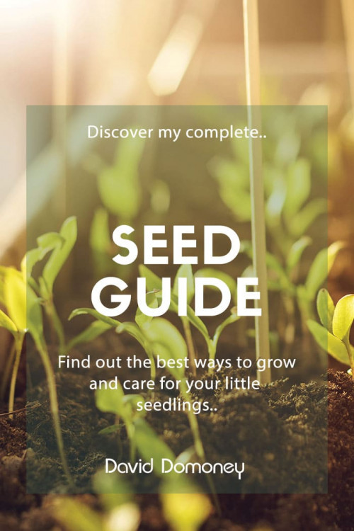 seed guide