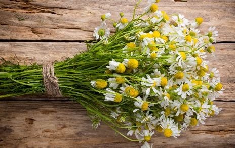 Lavender-sprigs-in-lemon-drink