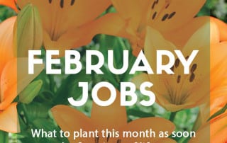 February jobs