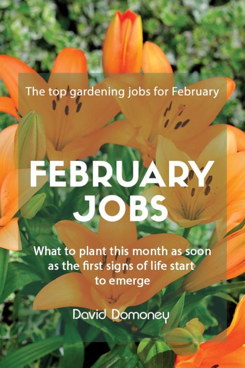 February jobs