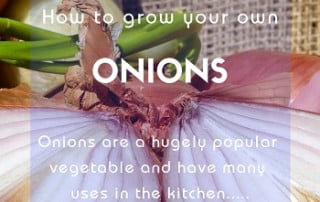 GYO Onions