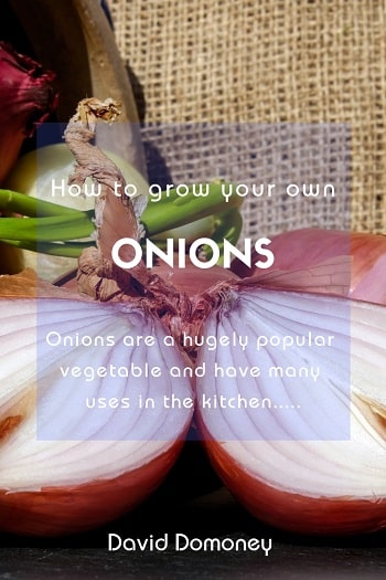 GYO Onions