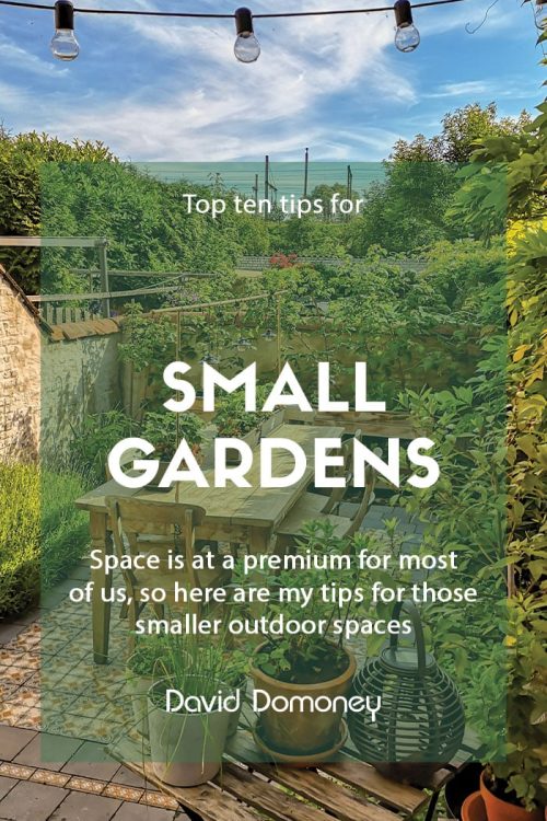 Top ten tips for small gardens