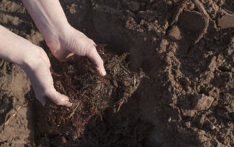 Hands holding soil