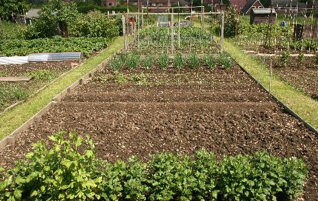 A garden vegetable patch for seed sowing