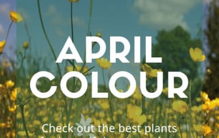 April colour