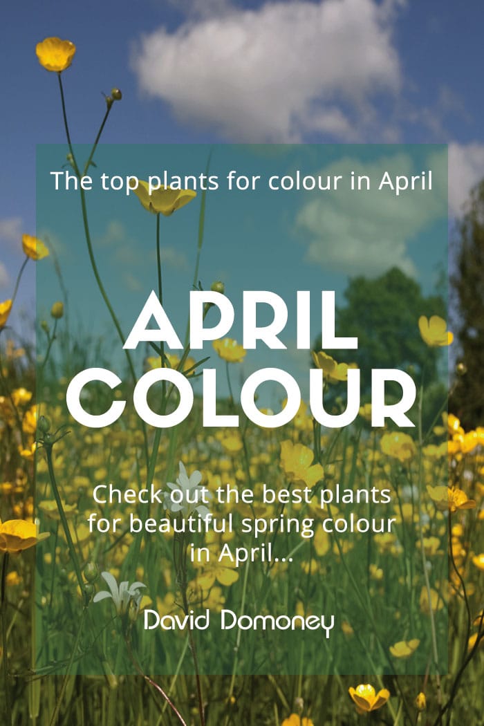 April colour