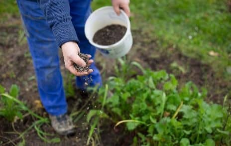 Sowing fertiliser