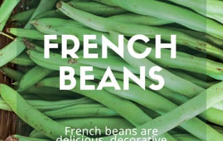 French Beans