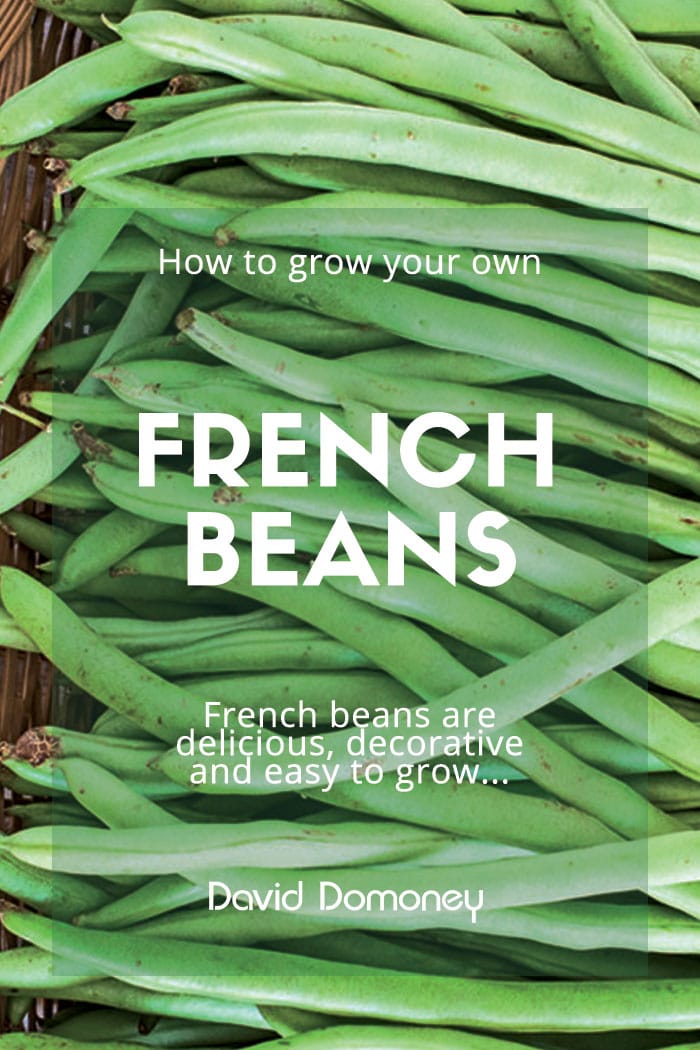 French Beans