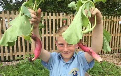 Child holding plants