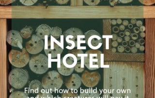 Insect hotel