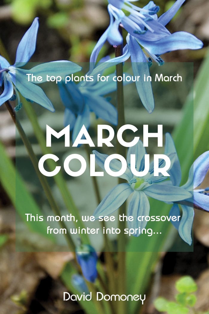 March