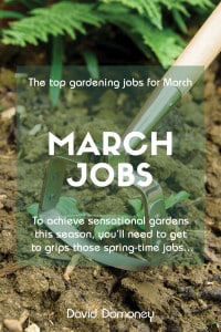 March jobs