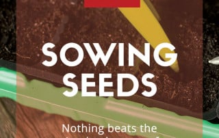 Mirror Sowing Seeds Feature Image
