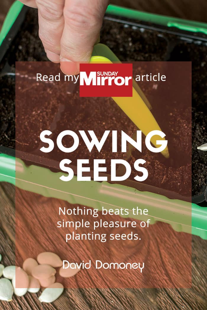 Mirror Sowing Seeds Feature Image