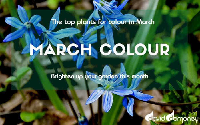 March