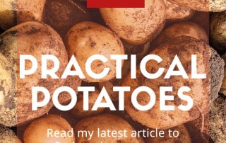 potatoes