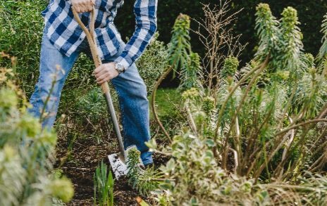 garden tools