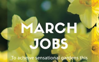 march jobs