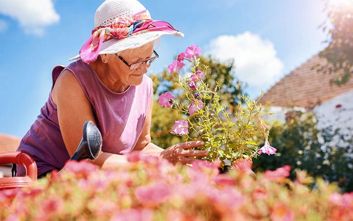 Flowers-decorating-cake