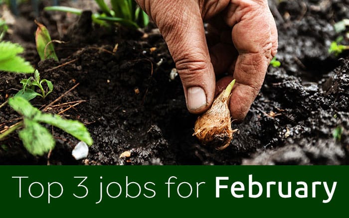 February jobs