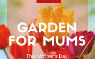 garden for mums