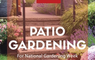 patio gardening