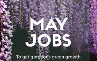 may jobs