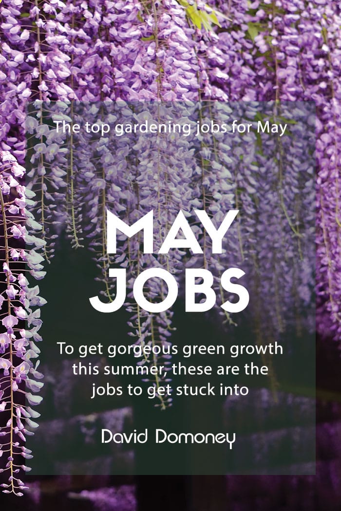 may jobs