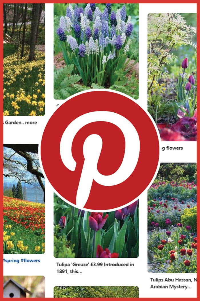 Pinterest-Board-image-incredible border-planting