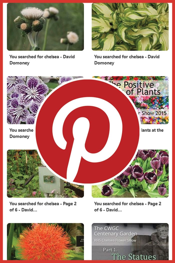 Pinterest flower power