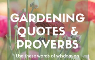 Inspirational gardening quotes