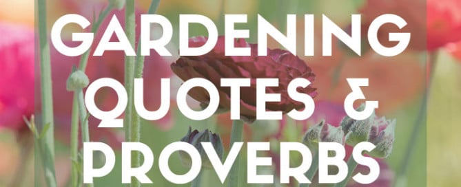 Inspirational gardening quotes