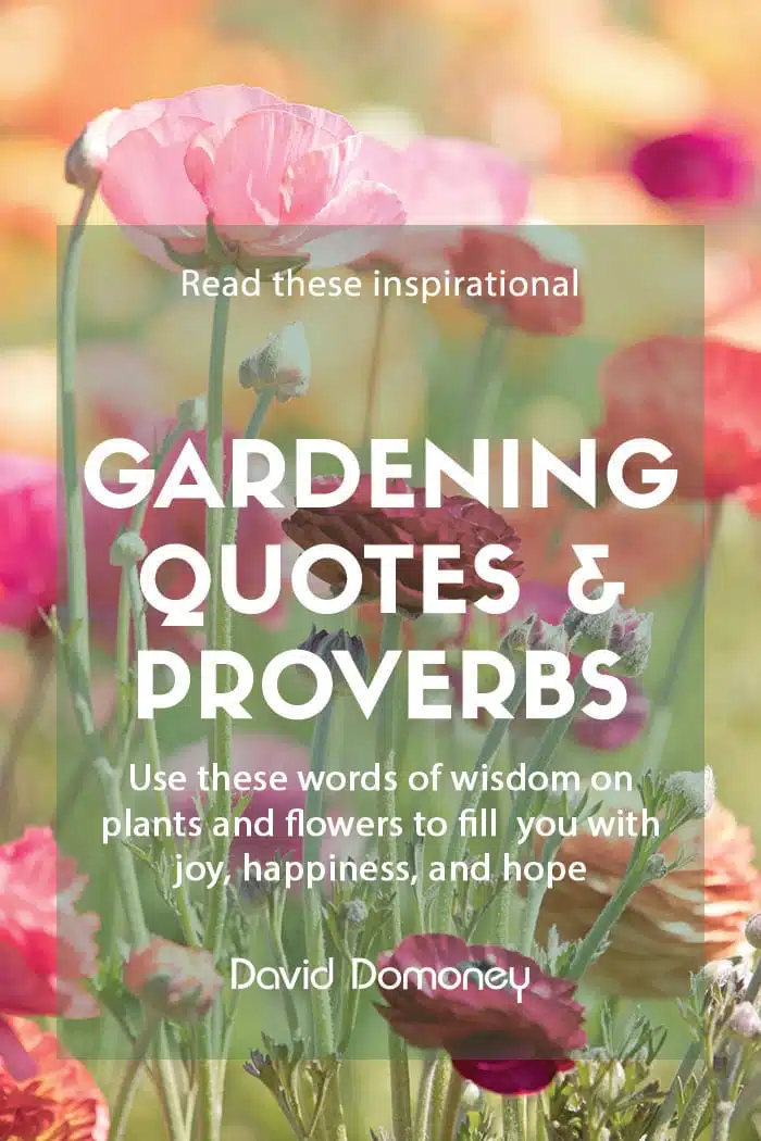 inspirational gardening quotes proverbs