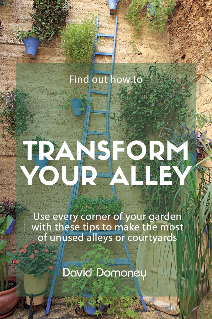 Transform your alley
