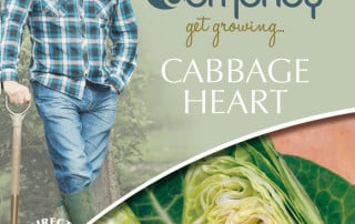 cabbage heart