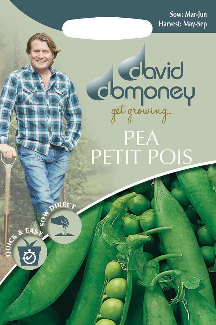 pea petit pois